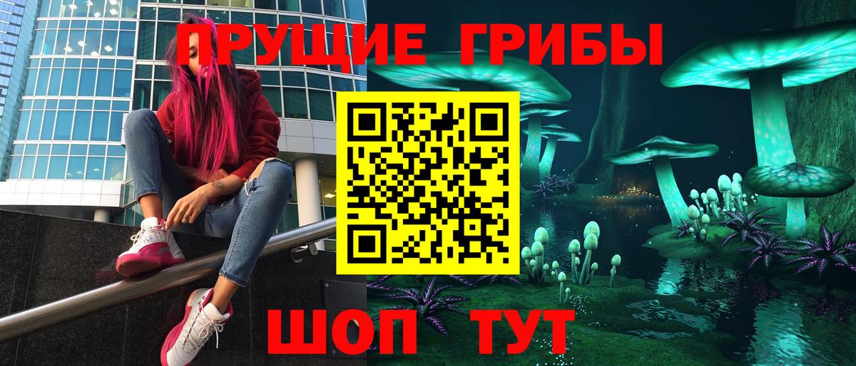 Галлюциногенные грибы Cubensis  Вход с VPN  Псилоцибиновые грибы Psilocybine cubensis  Анжеро-Судженск 