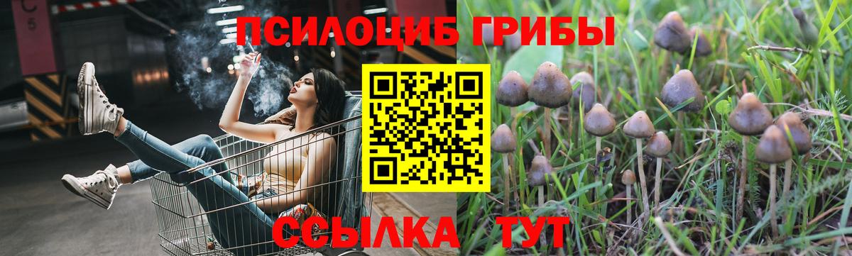 Псилоцибиновые грибы прущие грибы Анжеро-Судженск